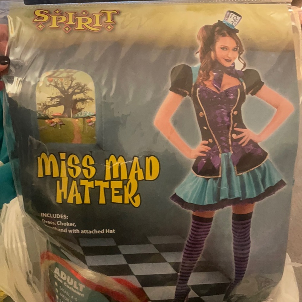 Miss mad hatter costume (from spirit Halloween)